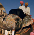 taj