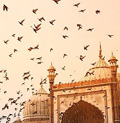 taj